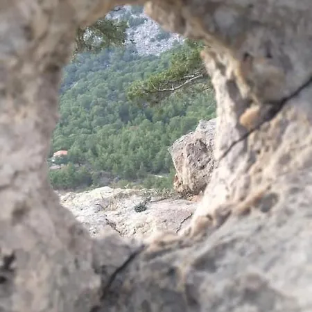 Bed & Breakfast Pydnai_village *